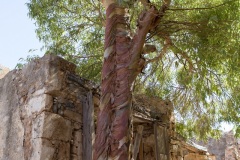 Spinalonga