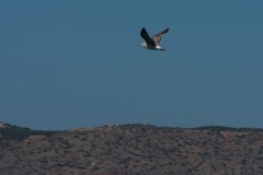 Fahrt von Spinalonga nach Elounda