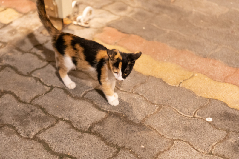 Kalamaki