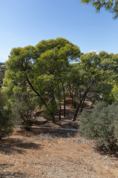 Agia Triada