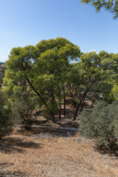 Agia Triada