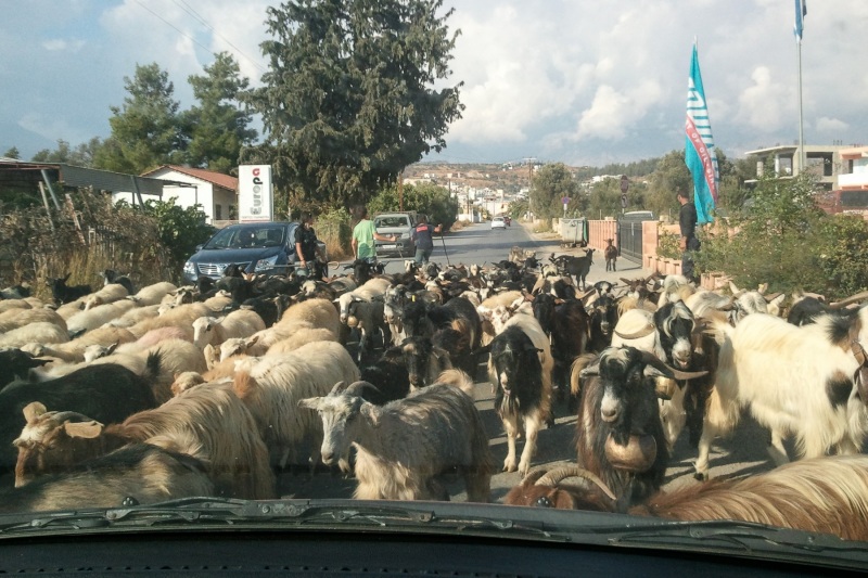Kalamaki -> Heraklion