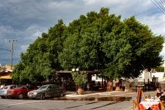 Sivas