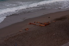 Kalamaki