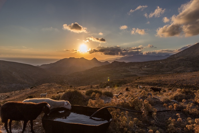 Agia Galini <-> Amoudi