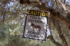 Donkey Rescue