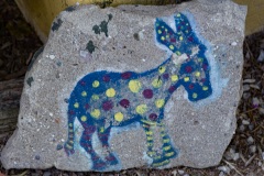 Donkey Rescue