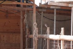 Donkey Rescue