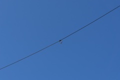 Matala