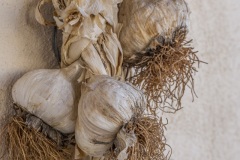 Kouses
