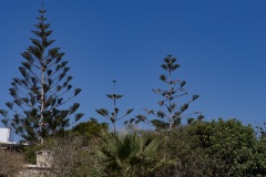 Kalamaki