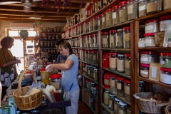 Botano in Kouses