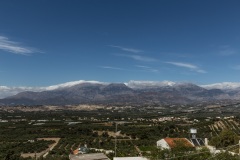 Botano in Kouses