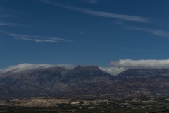 Botano in Kouses