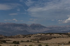 Komos