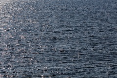 Kalamaki