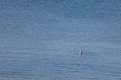 Kalamaki