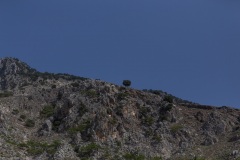 Zaros