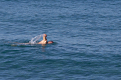 Kalamaki