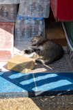 Matala