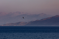 Kalamaki