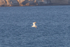 Kalamaki