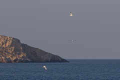 Kalamaki