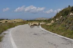 Auf dem Rückweg kamen wir in die Rush hour