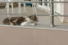 036-Kreta-26