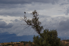 083-Kreta-26
