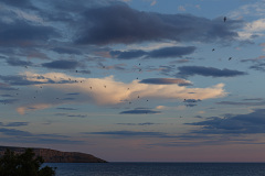 089-Kreta-26