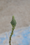 Noch geschlossen...