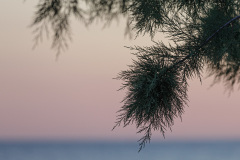 115-Kreta-26