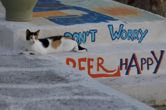 Don`t worry, beer happy