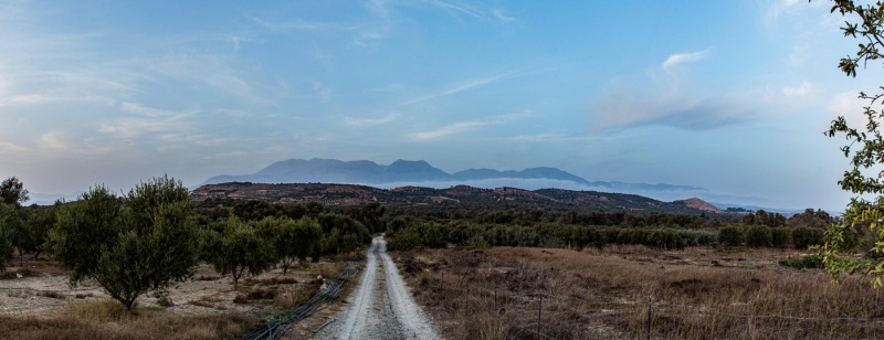 Kamilari