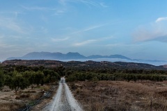 Kamilari