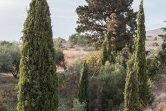 Kalamaki