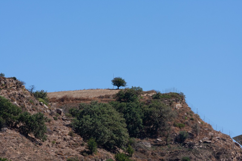 Kalamaki -> Rethymno